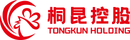 NG集团
