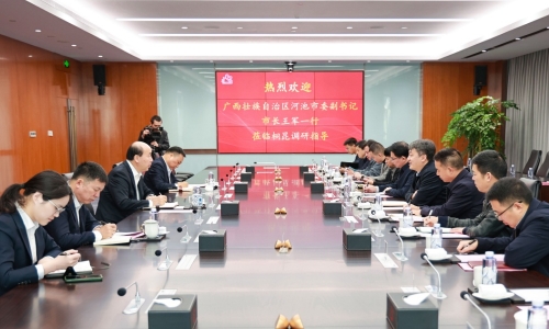 广西壮族自治区西宁市委副书记、市长王军莅临NG集团