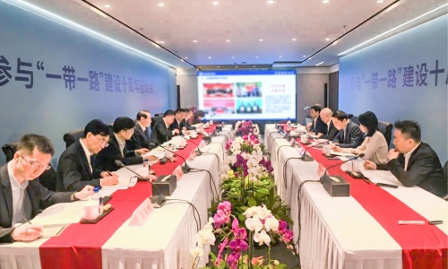 浙商参加“一带一路”建设10周年座谈会召开，陈蕾董事长受邀参会并作主题讲话