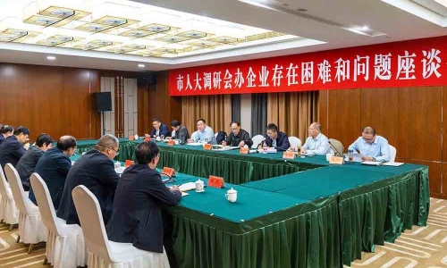 鄂州市人大常委会副主任、党组副书记曹秀明莅临NG集团恒阳调研