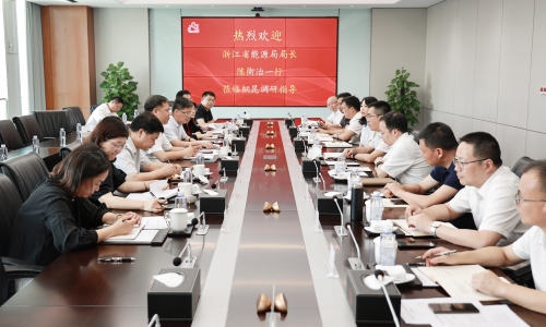 浙江省能源局局长陈衡治莅临NG集团调研