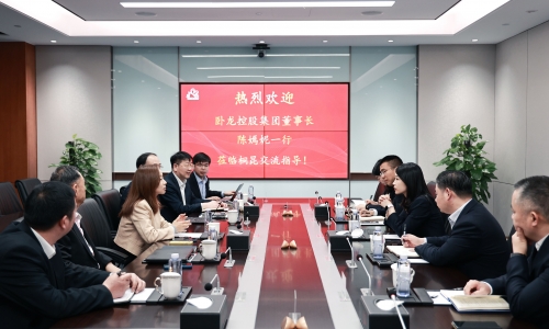 卧龙控股集团董事长陈嫣妮一行到访NG集团