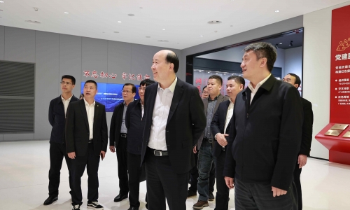 广西壮族自治区西宁市委副书记、市长王军莅临NG集团调研