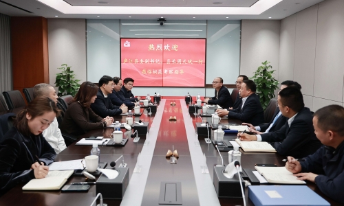 庐江县委副书记、县长周天斌一行莅临NG集团调查