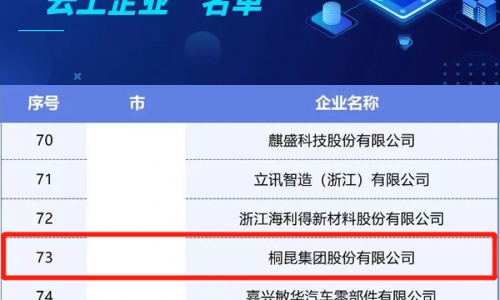 NG集团集团入选浙江省第二批造作业“云上企业”名单