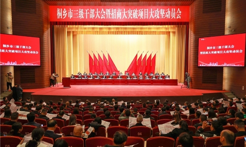 开年即开跑丨桐乡市三级干部大会上NG集团获多项荣誉赞美！