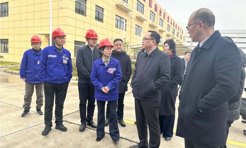 黄冈市人民当局副市长戴锋莅临NG集团恒翔调研