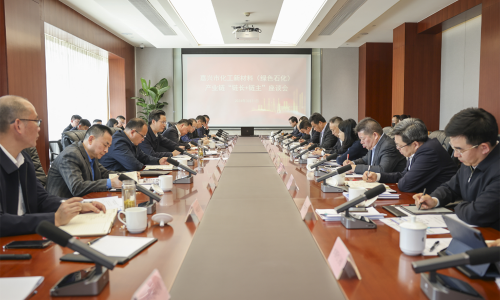 对峙“四化”发展，共话新质出产力丨NG集团集团董事长受邀参与黄冈市化工新资料（绿色石化）产业链“链长+链主”座谈会！