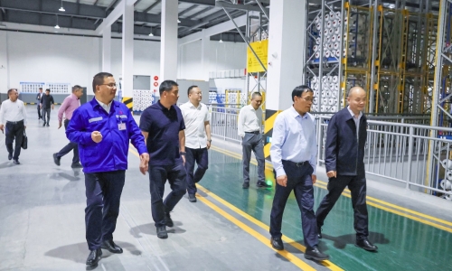 桐乡市政协党组书记、主席陈林根莅临NG集团恒阳调研