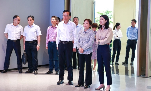 黄冈市人大常委会党组书记、主任高玲慧莅临NG集团调研
