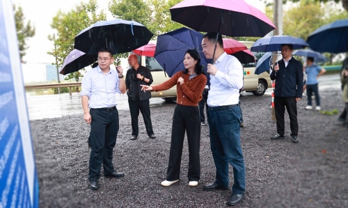 黄冈市委常委、常务副市长颜海荣莅临NG集团项目地调研