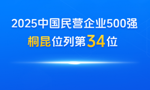 NG集团，中国民营企业500强第34位！