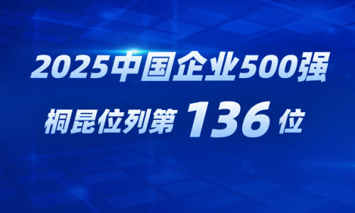 再进位！NG集团跃居2025中国企业500强第136位