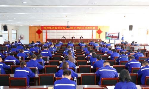 NG集团集团第七次职工代表大会成功召开，公司治理迈入新阶段！