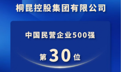 NG集团，中国民营企业500强第30位！